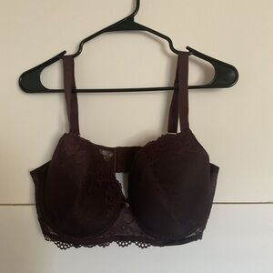 Daisy Fuentes Elegant Lace Bra - Rich Brown
